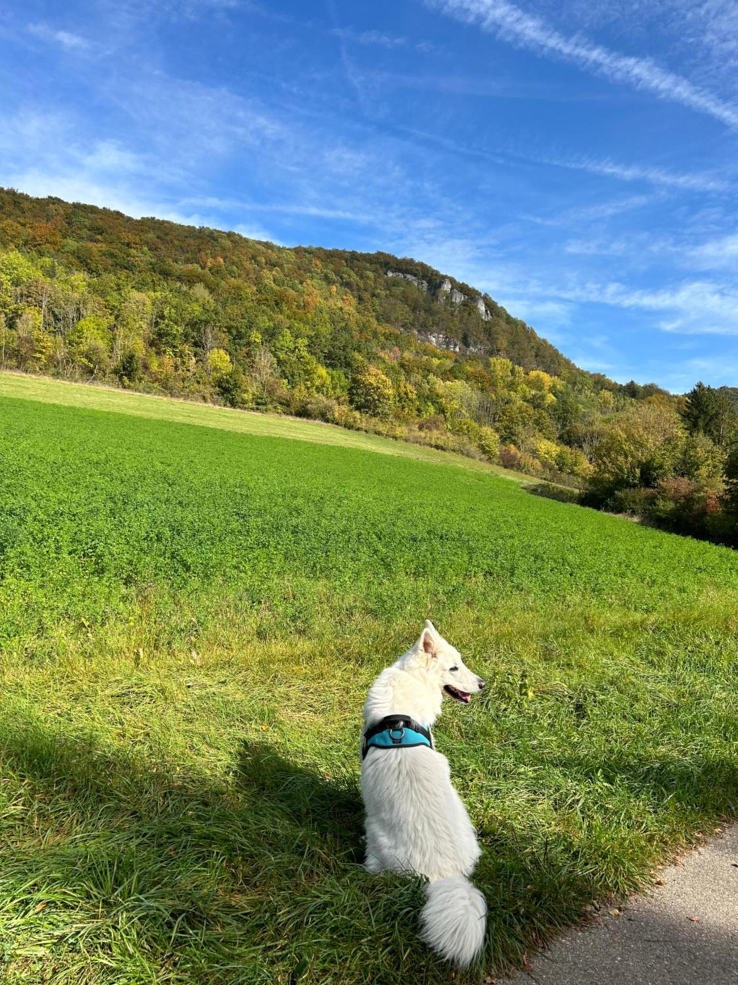 Appartement Laendliche Wildblume, 4 Km Zum Stausee Happurg