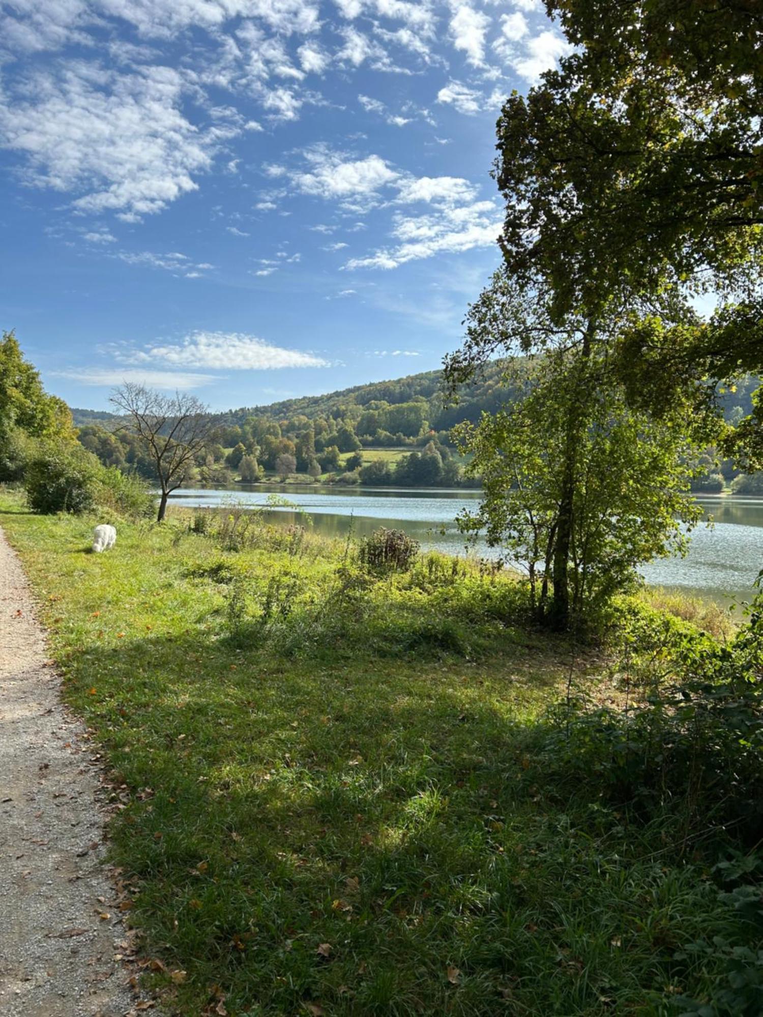Laendliche Wildblume, 4 Km Zum Stausee