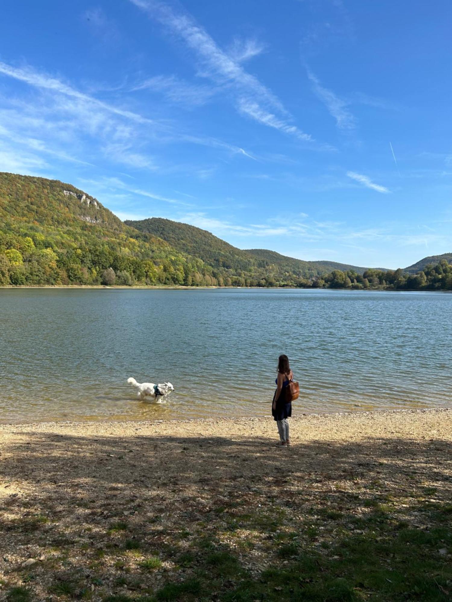 Laendliche Wildblume, 4 Km Zum Stausee Happurg